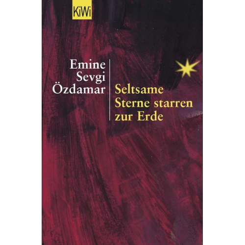 Emine Sevgi Özdamar - Seltsame Sterne starren zur Erde