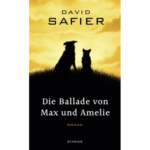 David Safier - Die Ballade von Max und Amelie