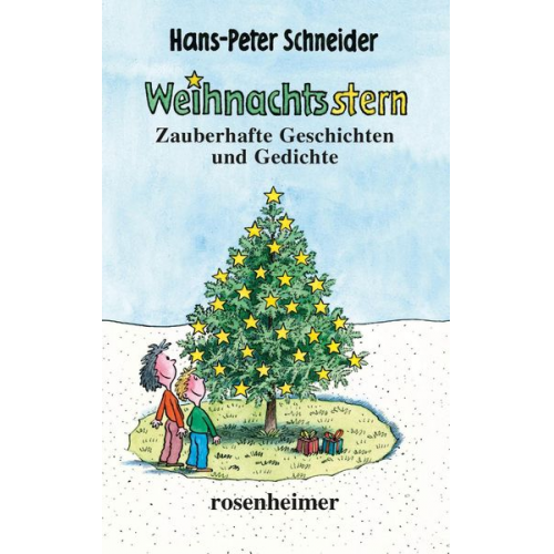 Hans-Peter Schneider - Schneider, H: Weihnachtsstern