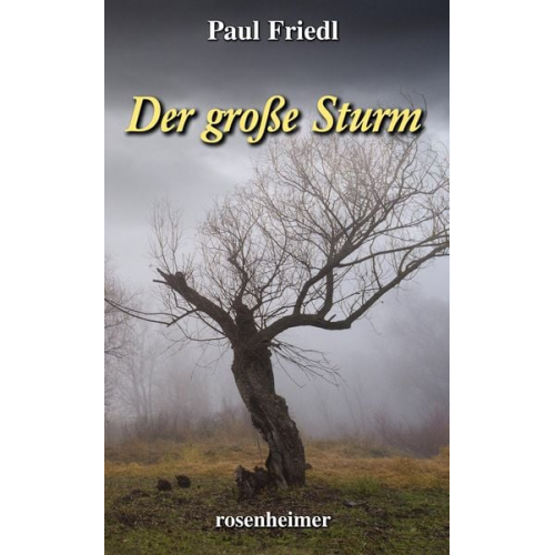 Paul Friedl - Der große Sturm