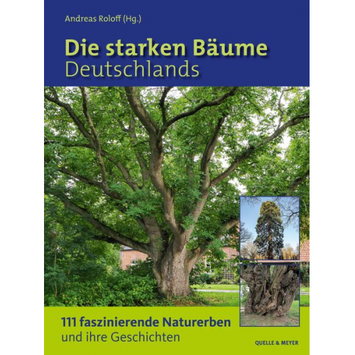 Die starken Bäume Deutschlands