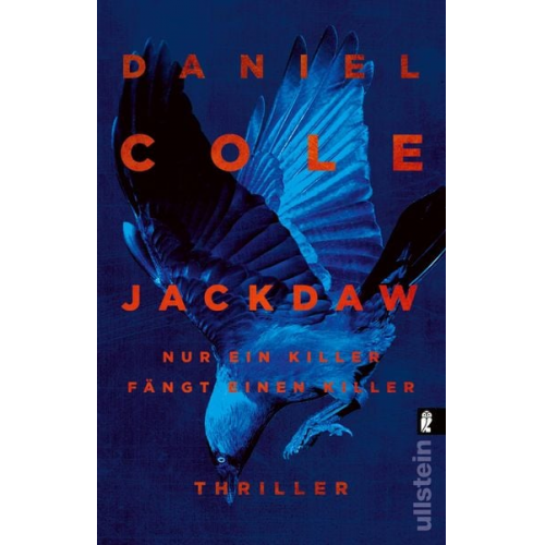 Daniel Cole - Jackdaw
