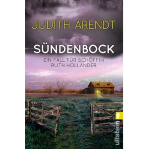 Judith Arendt - Sündenbock / Schöffin Ruth Holländer Bd.2