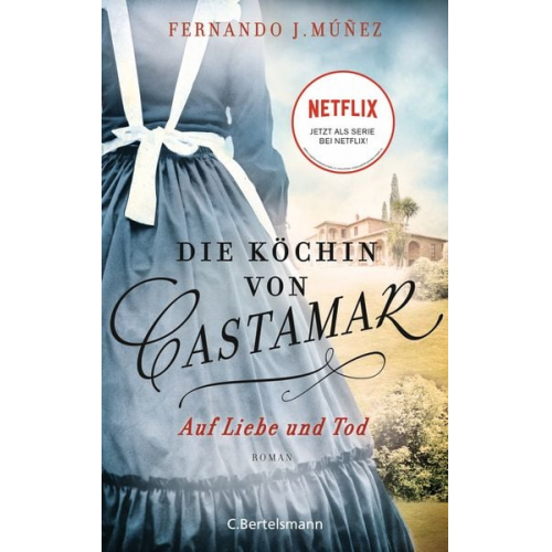 Fernando J. Múñez - Die Köchin von Castamar
