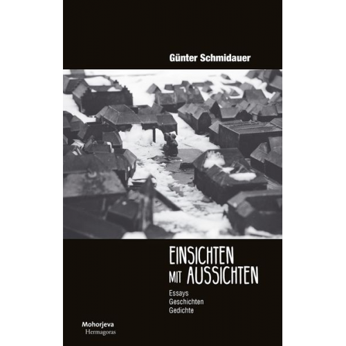 Günter Schmidauer - Einsichten mit Aussichten
