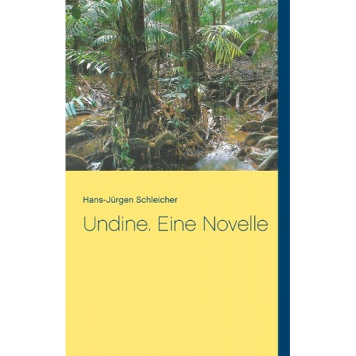 Hans-Jürgen Schleicher - Undine. Eine Novelle