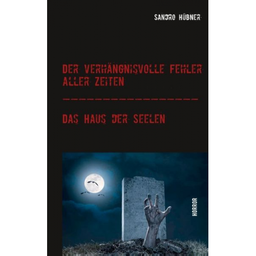 Sandro Hübner - Der verhängnisvolle Fehler aller Zeiten / Das Haus der Seelen