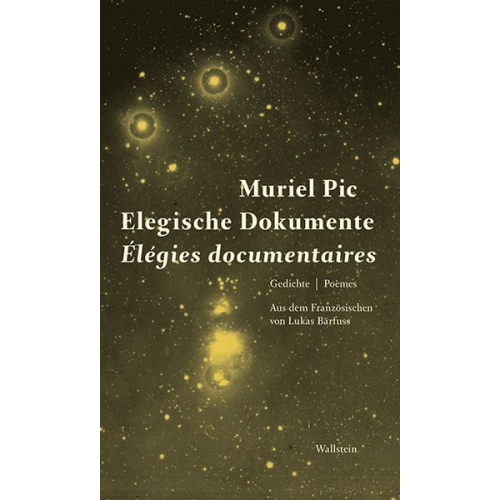 Muriel Pic - Elegische Dokumente / Élegies documentaires