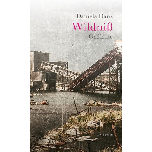 Daniela Danz - Wildniß