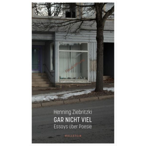 Henning Ziebritzki - Gar nicht viel