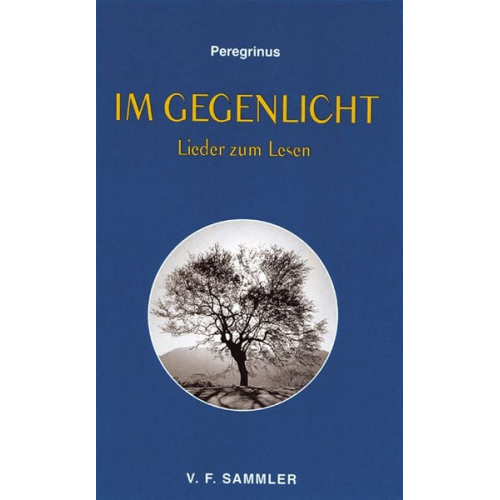Peregrinus - Im Gegenlicht