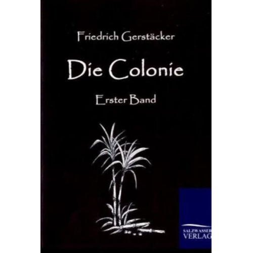 Friedrich Gerstäcker - Die Colonie