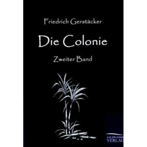 Friedrich Gerstäcker - Die Colonie