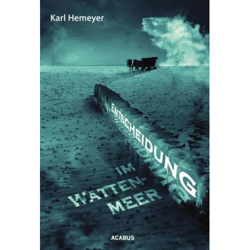 Karl Hemeyer - Entscheidung im Wattenmeer