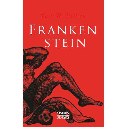 Mary Shelley - Shelley, M: Frankenstein oder der moderne Prometheus