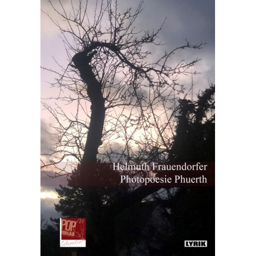 Helmuth Frauendorfer - Photopoesie Phuerth