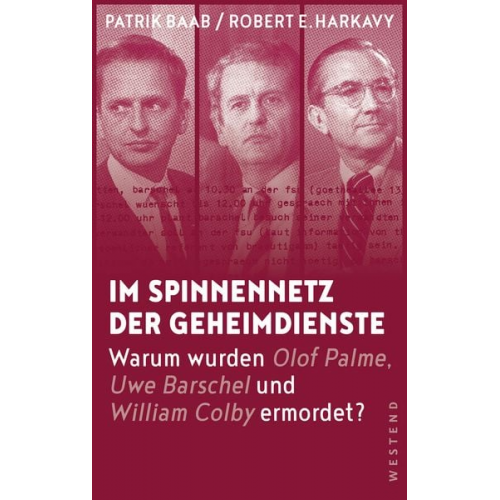 Patrik Baab Robert E. Harkavy - Im Spinnennetz der Geheimdienste