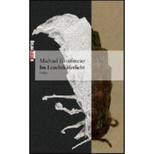 Michael Groissmeier - Im Leuchtkäferlicht
