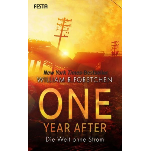 William R. Forstchen - One Year After - Die Welt ohne Strom