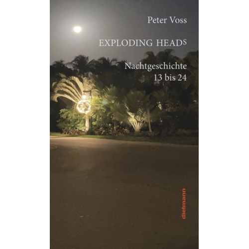 Peter Voss - Exploding Heads
