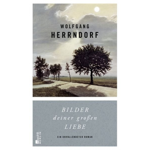 Wolfgang Herrndorf - Bilder deiner großen Liebe