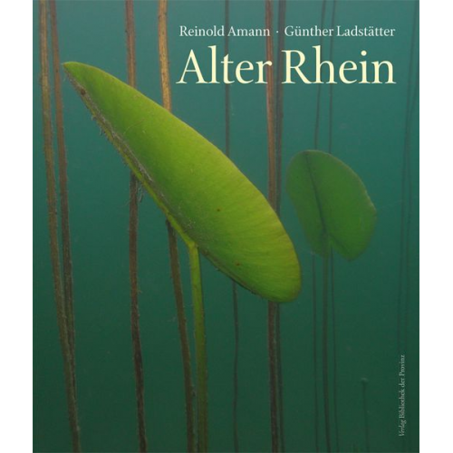 Reinold Amann - Alter Rhein