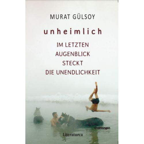 Murat Gülsoy - Unheimlich