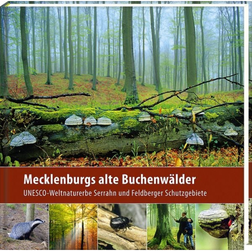 Klaus Borrmann - Mecklenburgs alte Buchenwälder