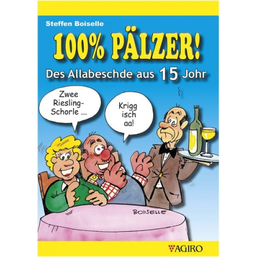 Steffen Boiselle - 100% PÄLZER! Des Allabeschde aus 15 Johr