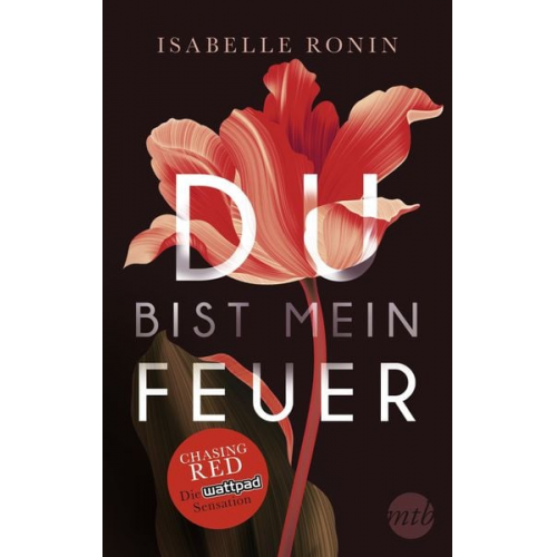 Isabelle Ronin - Du bist mein Feuer