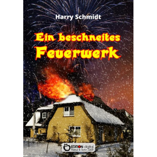 Harry Schmidt - Ein beschneites Feuerwerk