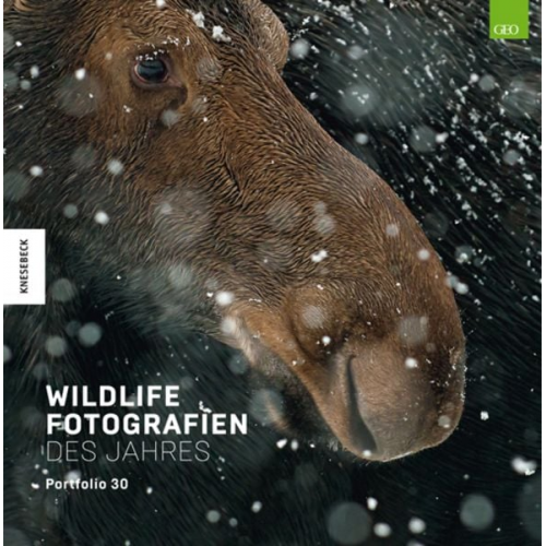 Wildlife Fotografien des Jahres – Portfolio 30