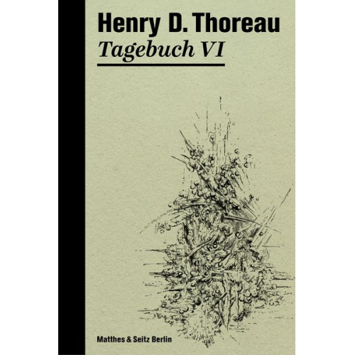 Henry David Thoreau - Tagebuch VI