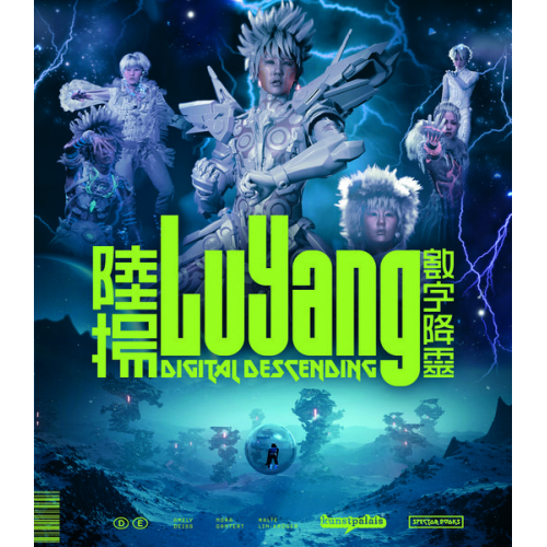 LuYang. Digital Descending