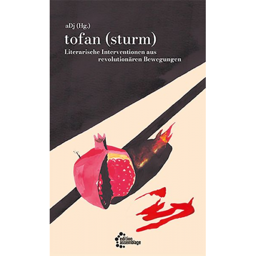 Rosa Burç Sanaz Azimipour Keça Filankes Mina Khan Tanasgol Sabbagh - Tofan (sturm)