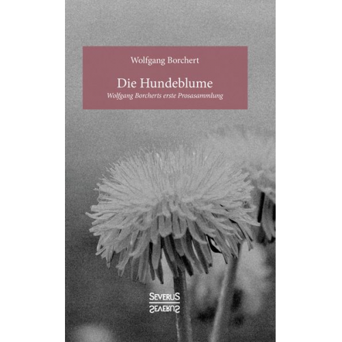 Wolfgang Borchert - Die Hundeblume