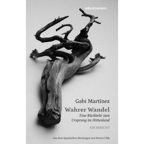 Gabi Martínez - Wahrer Wandel