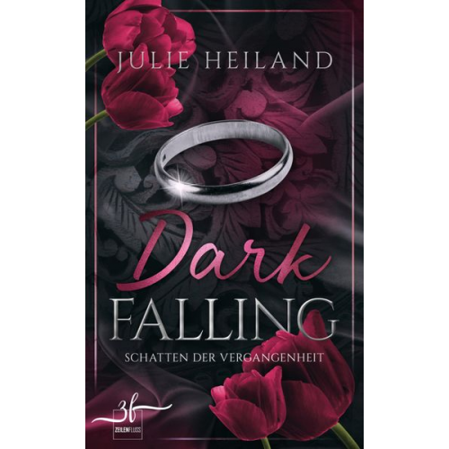 Julie Heiland - Dark Falling - Schatten der Vergangenheit