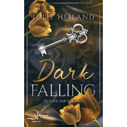 Julie Heiland - Dark Falling - Lichter der Zukunft