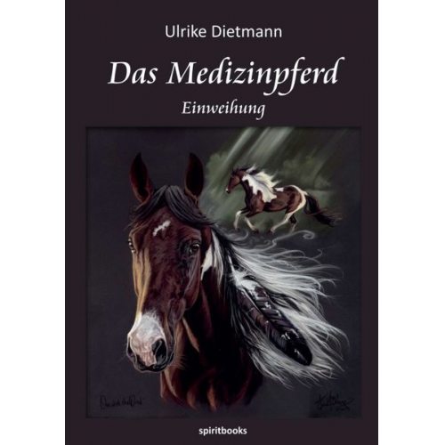 Ulrike Dietmann - Das Medizinpferd