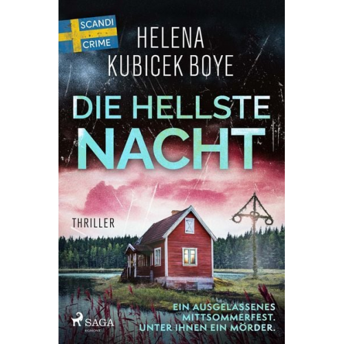 Helena Kubicek-Boye - Die hellste Nacht