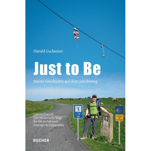 Harald Gudauner - Just to Be