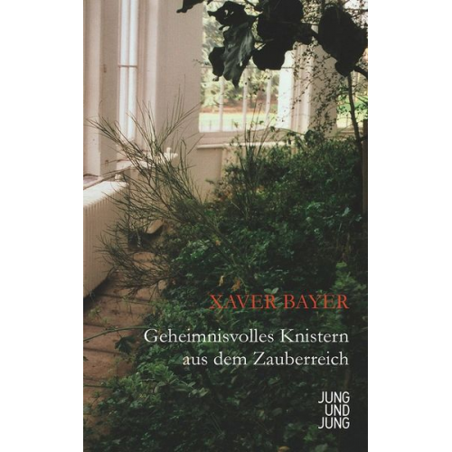 Xaver Bayer - Geheimnisvolles Knistern aus dem Zauberreich