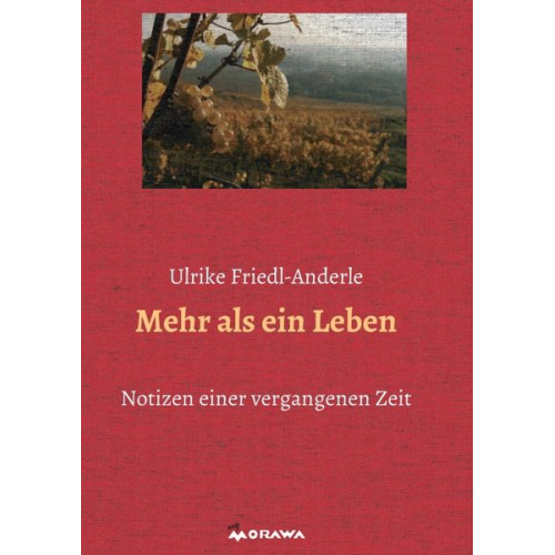 Ulrike Friedl-Anderle - Mehr als ein Leben