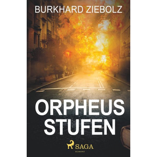 Burkhard Ziebolz - Orpheus Stufen - Kriminalroman