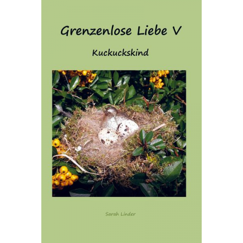 Sarah Linder - Grenzenlose Liebe V