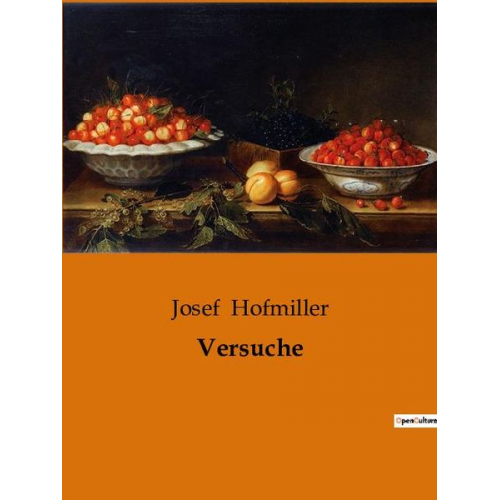 Josef Hofmiller - Versuche