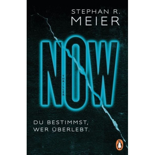 Stephan R. Meier - NOW Du bestimmst, wer überlebt.