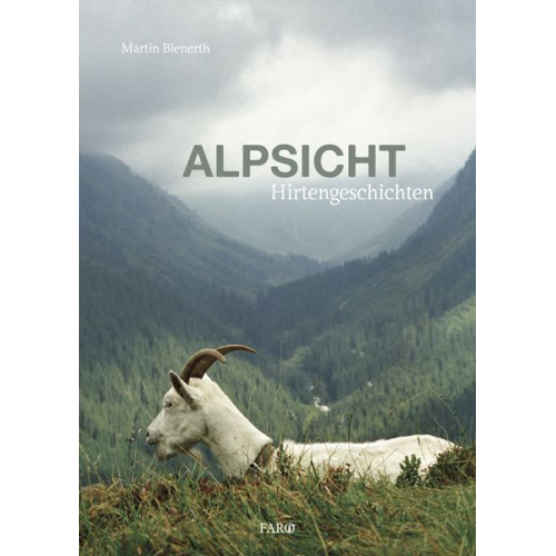 Martin Bienerth - Alpsicht