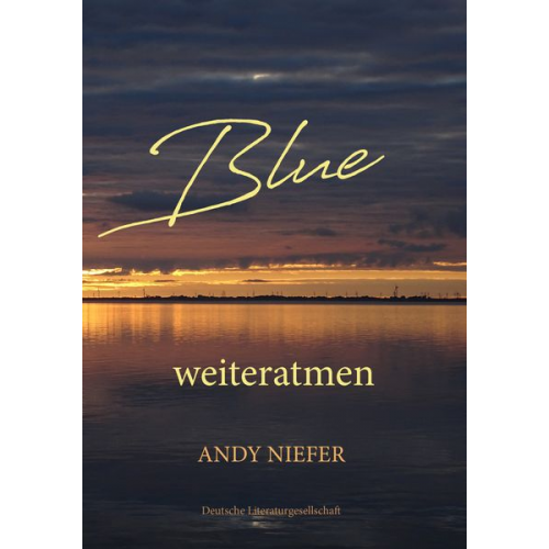 Andy Niefer - Blue